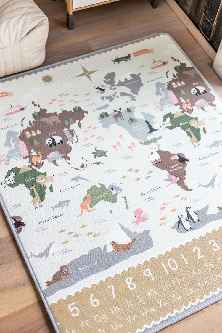 The Discovery Collection - Medium Size