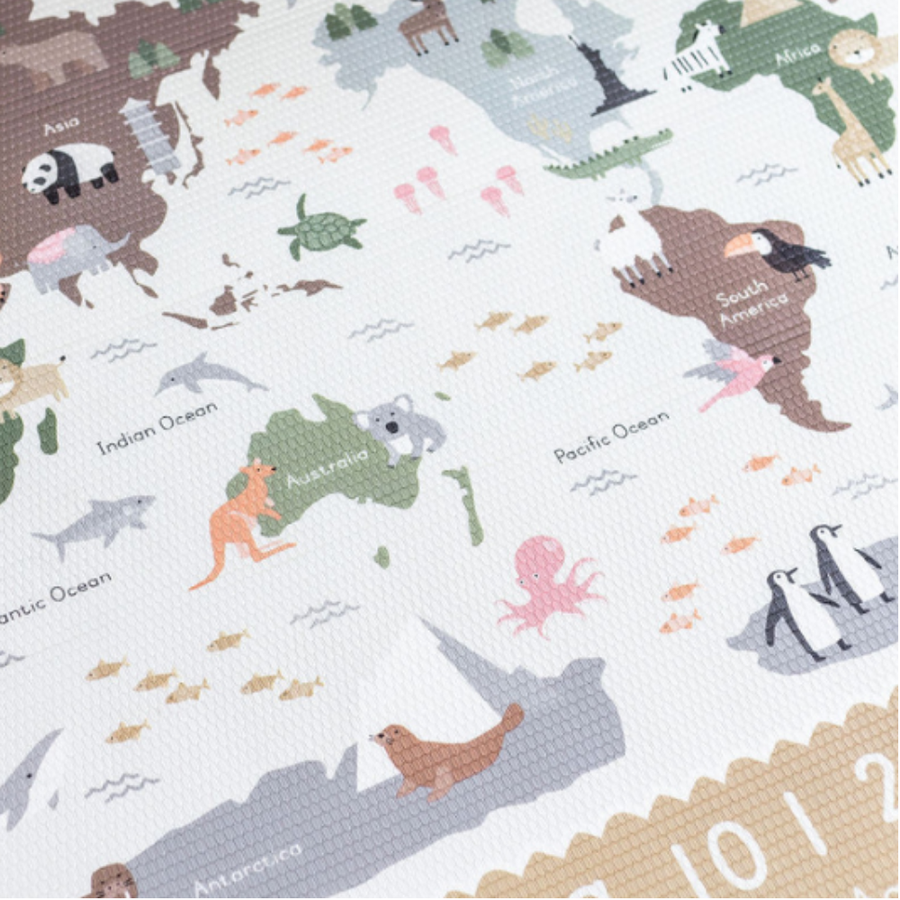 Large Birds In The Bush & World Map Play Mat